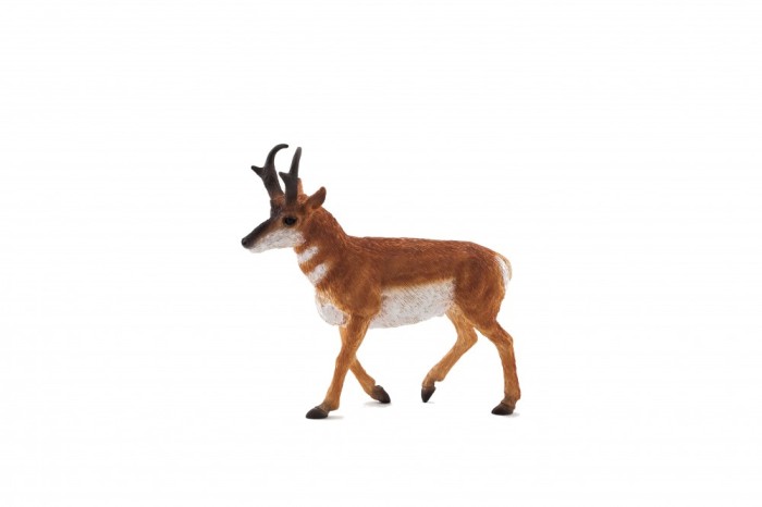 Figurina Antilocapra Americana Figurina Antilocapra Americana