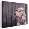 Tablou profil caine cu ochelari Tablou canvas pe panza CU RAMA 70x100 cm