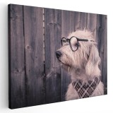 Tablou profil caine cu ochelari Tablou canvas pe panza CU RAMA 70x100 cm