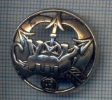AX 735 NASTURE METALIC -MILITAR STREIN- ,,GR&quot; - FOARTE INTERESANT-TREI SAGETI