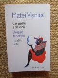 Matei Visniec - Caragiale e de vina. Despre tandrete. Teatru vag