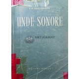 Unde sonore - 1957 - V. A. Krasilnikov ($R123)