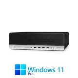 Calculatoare HP EliteDesk 800 G5 SFF, i5-9500, 8GB DDR4, 256GB SSD, Win 11 Pro