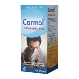 Carmol Flu raceala si gripa, 100 ml, Biofarm