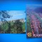 HOPCT LOT 3525 -2 CARTI POSTALE=RASNOV-JUD BRASOV-NECIRCULATE