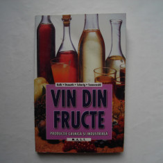 Vin din fructe - E. Kolb, G. Demuth, U. Schurig, K. Sennewald