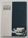 PRINTRE GHETURILE ARCTICEI de KONSTANTIN BADIGHIN , 1962