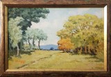 GHEORGHE SAVIN- MARGINE DE PADURE- ULEI PE CARTON-1975