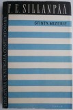 Cumpara ieftin Sf&acirc;nta Mizerie - F.E. Sillanp&auml;&auml; - Carte Creștinism