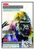 Caiet pentru desen pe baza de apa Derwent Profesional hartie alba A4 12 coli 300 gsm calitate premium