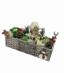 Aranjament Floral Peisaj Craciun cu Licheni si alte elemente naturale, Eventissimi, Multicolor