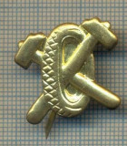 Y 1789 INSIGNA - MILITARA -SEMN DE ARMA - AUTO -PENTRU COLECTIONARI