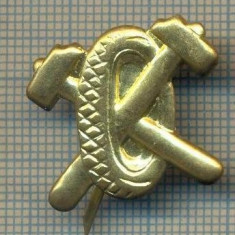 Y 1789 INSIGNA - MILITARA -SEMN DE ARMA - AUTO -PENTRU COLECTIONARI