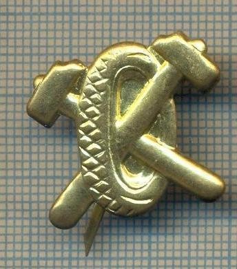 Y 1789 INSIGNA - MILITARA -SEMN DE ARMA - AUTO -PENTRU COLECTIONARI