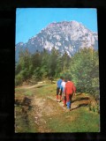 QW25 M - Carte postala - tematica turism - vedere - Muntii Bucegi 12 - 1978