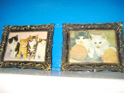 4805-Foto mici cu Pisici cu rame din plastic antichizate. foto