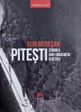 Pitesti. Cronica unei sinucideri asistate - Alin Muresan