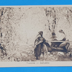 Carte Postala veche perioada interbelica anii 1930 - TOAMNA - Romania
