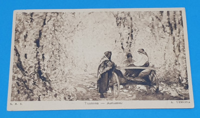 Carte Postala veche perioada interbelica anii 1930 - TOAMNA - Romania foto
