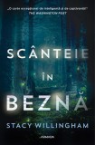 Sc&acirc;nteie &icirc;n beznă - Stacy Willingham