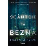 Sc&acirc;nteie &icirc;n beznă - Stacy Willingham