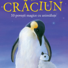 Dorinte de Craciun 10 povesti magice cu animalute