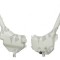 Rezervor spalator parbriz Honda Civic 4-Usi (Es) Sedan (Jp), 02.2001-12.2003, fara pompa spalator, 76810-S5A-003; 76840-S5A-003,