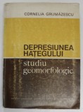 DEPRESIUNEA HATEGULUI , STUDIU GEOMORFOLOGIC de CORNELIA GRUMAZESCU , 1975 , * PREZINTA HALOURI DE APA SI MICI PETE,URME DE UZURA