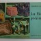 LES PIERRES PRECIEUSES , text et illustrations de NED SEIDLER , 1965 , FORMAT REDUS *