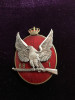 Insigna Argint Regimentul 88 Infanterie Maramureș 7 Ani, Vultur Email Roșu, 48mm, Colectie, Istorie Militara