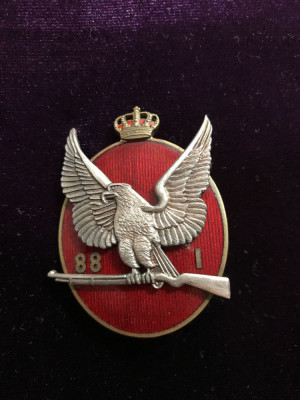 Insigna 7 ani &amp;icirc;n regimentul 88 infanterie Maramureș foto