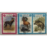 (B ) Timbre serii Straine tema Animale Afganistan