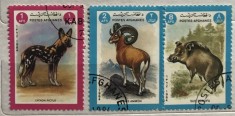 (B ) Timbre serii Straine tema Animale Afganistan