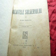 Radu Rosetti - Pacatele Slugeriului - Ed.Viata Romaneasca 1924 ,252pag