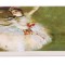 Etui ochelari Degas, Fridolin