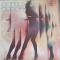 Disc vinil, LP. PARTY DANCE-COLABORATORI-194961