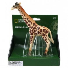 Figurina Girafa foto