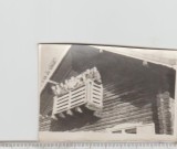 bnk foto Cabana Poiana Izvoarelor - 1959
