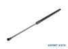 Amortizor gaz ridicare hayon portbagaj Renault Scenic III (2008-&gt;)[JZ0/1_] #1