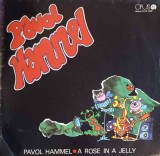 Vinil LP Pavol Hammel - A Rose In A Jelly (1984) OPUS, Folk Rock Pop, 33 RPM, 30cm
