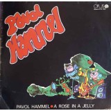 Disc vinil, LP. A ROSE IN A JELLY-PAVOL HAMMEL-240472