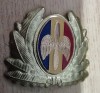 QW14 - Emblema militara / cuc - aviatie - anii 1990 - piesa de colectie