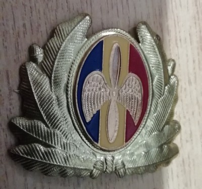 QW14 - Emblema militara / cuc - aviatie - anii 1990 - piesa de colectie foto