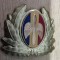 QW14 - Emblema militara / cuc - aviatie - anii 1990 - piesa de colectie