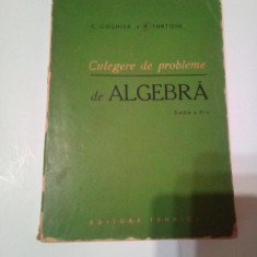 CULEGERE DE PROBLEME DE ALGEBRA ~ C. COSNITA & F. TURTOIU