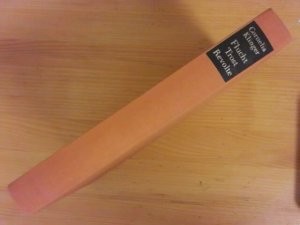 Die moderne und ihre asthetischen Gegenwelten/ Cornelia Klinger