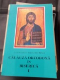 Călăuză ortodoxa &icirc;n biserica - IOANICHIE BĂLAN - EDIȚIA A DOUA