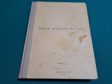 BOLILE IEPURILOR DE CASĂ * UZ INTERN / 1969 * 18