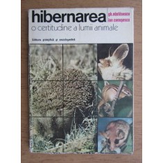Nastasescu Gheorghe, Ion Ceausescu - Hibernarea. O certitudine a lumii animale