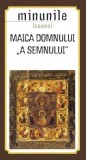 Cumpara ieftin Carte Minunile Icoanei Maicii Domnului a Semnului - Sophia, Autor Sophia, 2015, 110x200